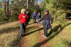 Wo_Bäche_schwinden_23