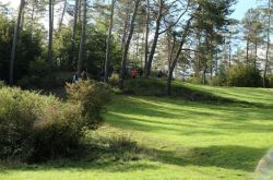 Wo_Bäche_schwinden_26