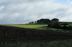 Wo_Bäche_schwinden_3