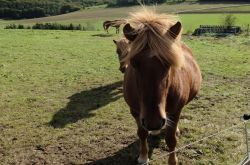 Wo_Bäche_schwinden_32