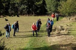 Wo_Bäche_schwinden_4