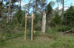 Wo_Bäche_schwinden_5