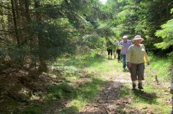 IMG-20220522-WA0003_2