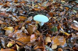 von_drinne_noch_drusse_12