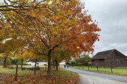 von_drinne_noch_drusse_14