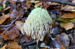 von_drinne_noch_drusse_18