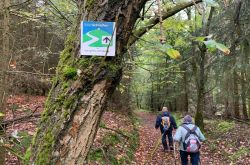 von_drinne_noch_drusse_19