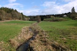 01_17_Der_Nonnenbach