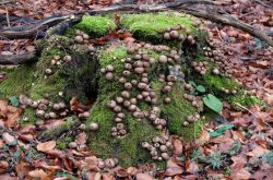 Toskana_der_Eifel005