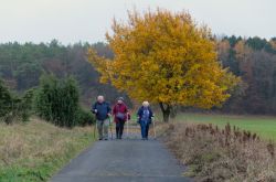 Toskana_der_Eifel010